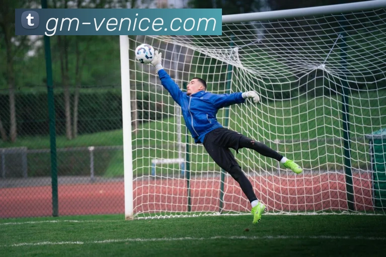 威尼斯人线上娱乐平台生态图