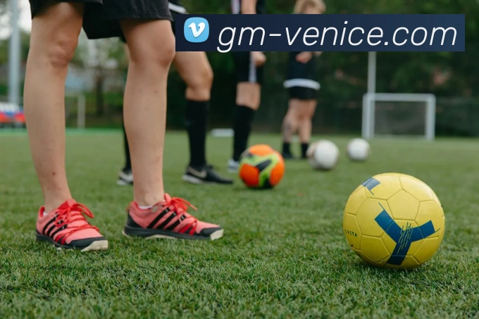 威尼斯人线上娱乐APP 封面图